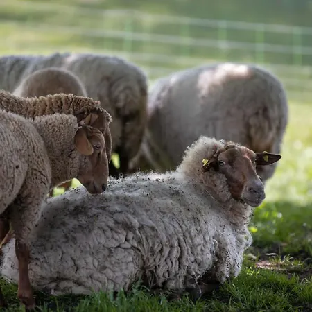 Sonnenscheinhaus 1 Apartamento Erbach (Odenwaldkreis)